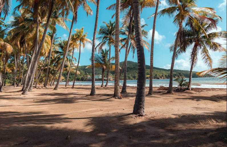 Guayanés Beach, , Puerto Rico